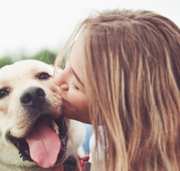 Frau küsst einen fröhlichen Labrador